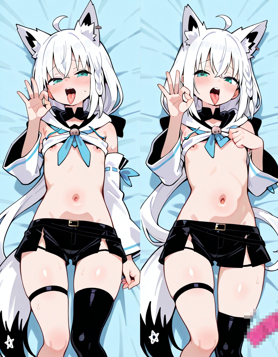 12枚目 【二次】白上フブキ-(ホロライブ) 画像【エロ】 その09